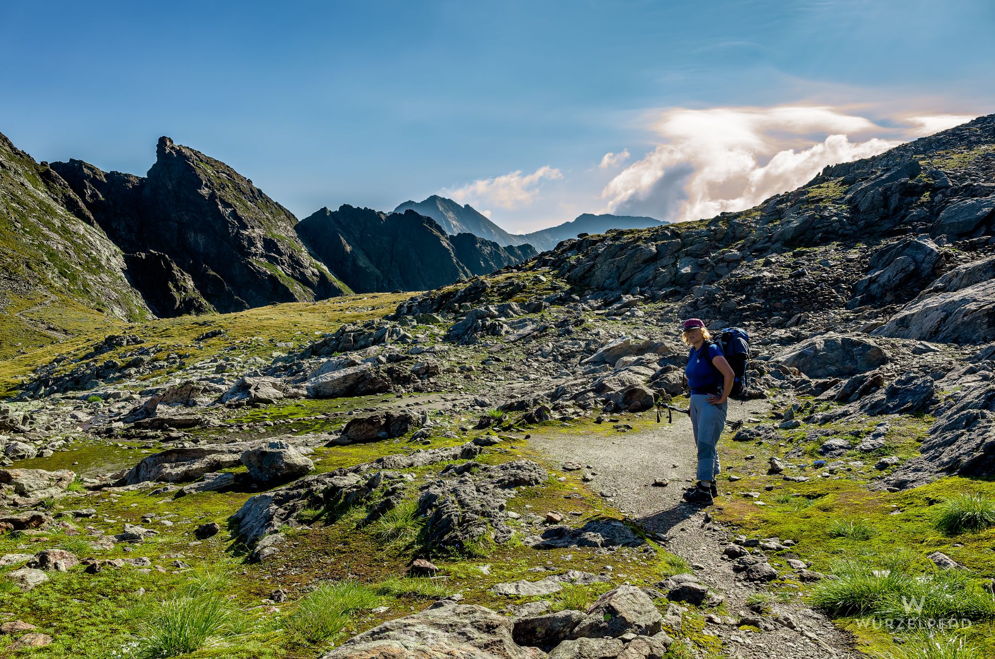 Am Greifenbergsattel